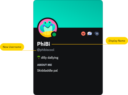 Voici à quoi ressemble le nouveau système de noms dans Discord.