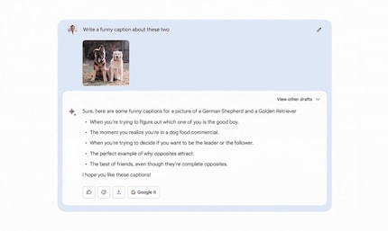Bientôt, vous pourrez également utiliser des images pour donner des tâches à Bard.