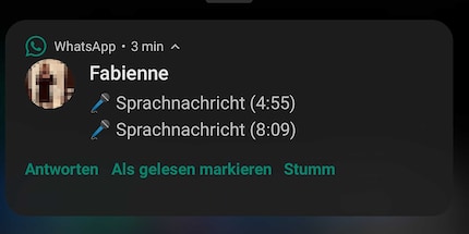 Sorry Fabienne, falls du das siehst. Aber das war zu viel.