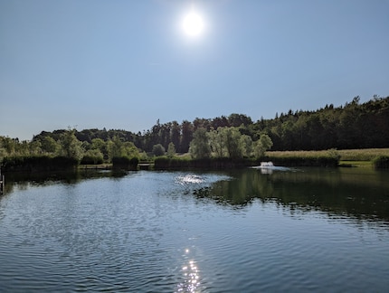 Hauptkamera im Gegenlicht mit dem Google Pixel 7 Pro.