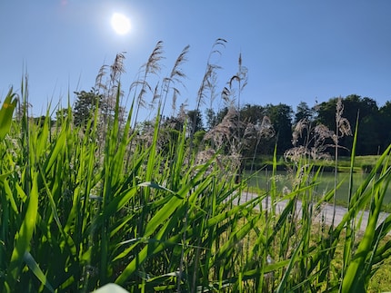 Hauptkamera mit Licht und Schatten mit dem Xiaomi 13 Lite.