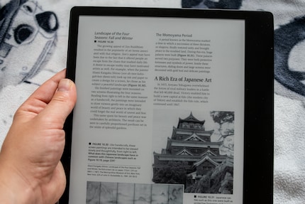 PDFs lassen sich auch in grösserem Umfang öffnen.