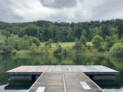 Ein unbearbeitetes Raw-Bild aus der Hauptkamera des iPhone 14 Pro mit dem eingebetteten Farbprofil