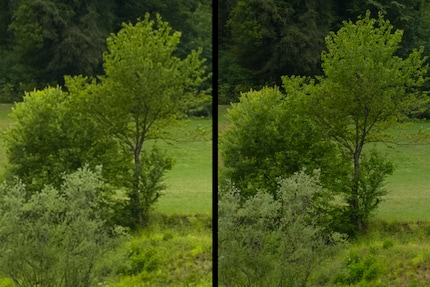 Die Sony Alpha 7RV (rechts) zeigt mit der höheren Auflösung feinere Details als das Xperia (links).