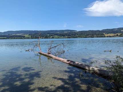 Google Pixel 7 Pro: Das Vergleichsfoto ist viel näher an der Realität.