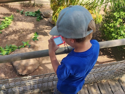 La fotocamera non offre molte impostazioni: perfetta per un bambino.