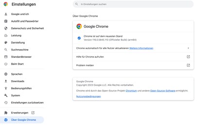 In the menu « About Google» you can also set the updates to be installed automatically in the future.