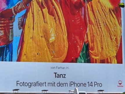 Le sujet en zoom 10x.
