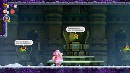 These Talking Flowers don’t share my desire for exploration.