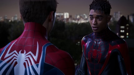 Peter and Miles also live through their own stories.