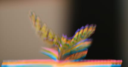 Bei mir klappte das Pixel Shifting nicht. Ohne Stativ sind die Einzelbilder verschoben ...