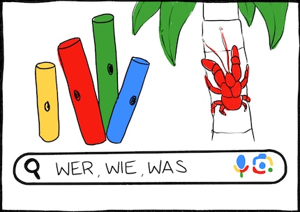 With Boomwhackers, you might be playing the next summer hit. The palm thief is a crab whose second name is, appropriately enough, Coconut Robber.