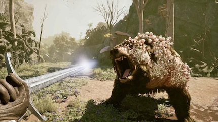 Avowed by Obsidian has been postponed to 2025.