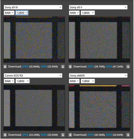 Rumore dell'immagine a 12.800 ISO a confronto.