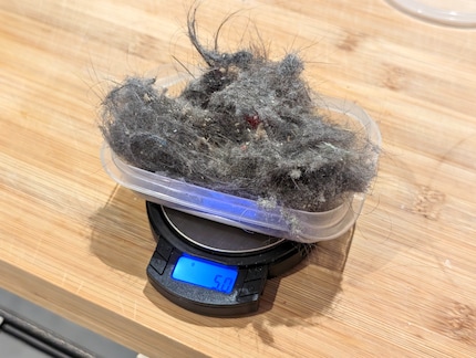 Five grammes of dust and hair is quite a lot.