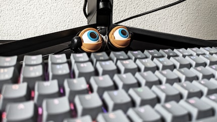 Diese Spezialbrille kann blinzeln – ich verwende sie selten in Video Calls.