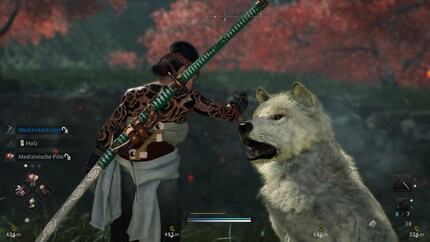 In «Rise of the Ronin» gibt es auch freundlich gesinnte Hunde, die mich zu versteckten Schätzen führen. Süss!