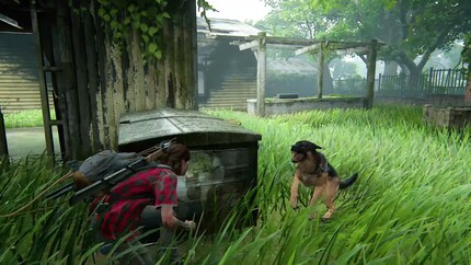 Ich bin froh, dass ich zumindest einige der Hunde in «The Last of Us Part II» verschonen konnte.