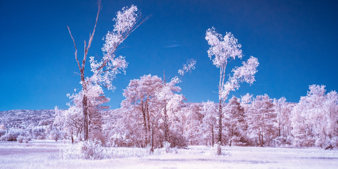 How do I make the sky in infrared photos blue? - Digitec