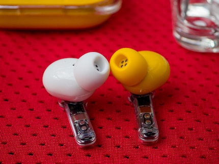 La scelta del colore non è l'unica differenza tra gli Ear e gli Ear (a).