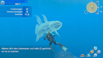 Le creature subacquee di «Endless Ocean Luminous» brillano finché le scansiono e raccolgo la loro luce.