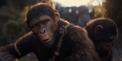 Owen Teague als Affe Noa in «Kingdom of the Planet of the Apes».