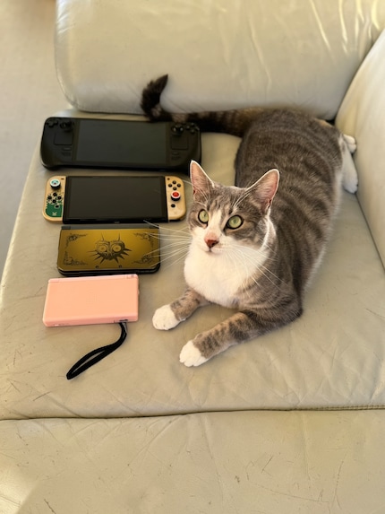 Ein Grössenvergleich zwischen Nintendo DS Lite, Nintendo 3DS XL, Switch und Steam Deck zeigt die Unterschiede zwischen den Geräten. Als Massstab eine Katzenlänge.