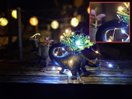L'Xperia 1 VI genera una bella profondità di campo. Tuttavia senza un treppiede e con un tempo di esposizione più lungo il soggetto risulta un po' sfocato.