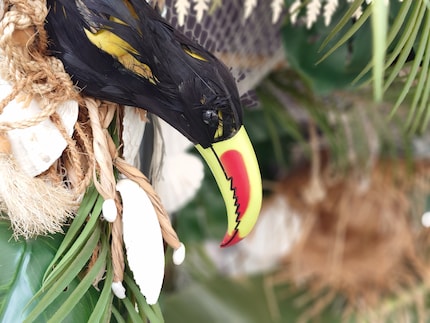 Il tucano e la corda sono ben enfatizzati dal bokeh. Tuttavia la punta del becco è sfocata.