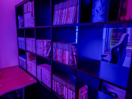 L'impressionante collezione di giochi ha un posto adeguato in ufficio.