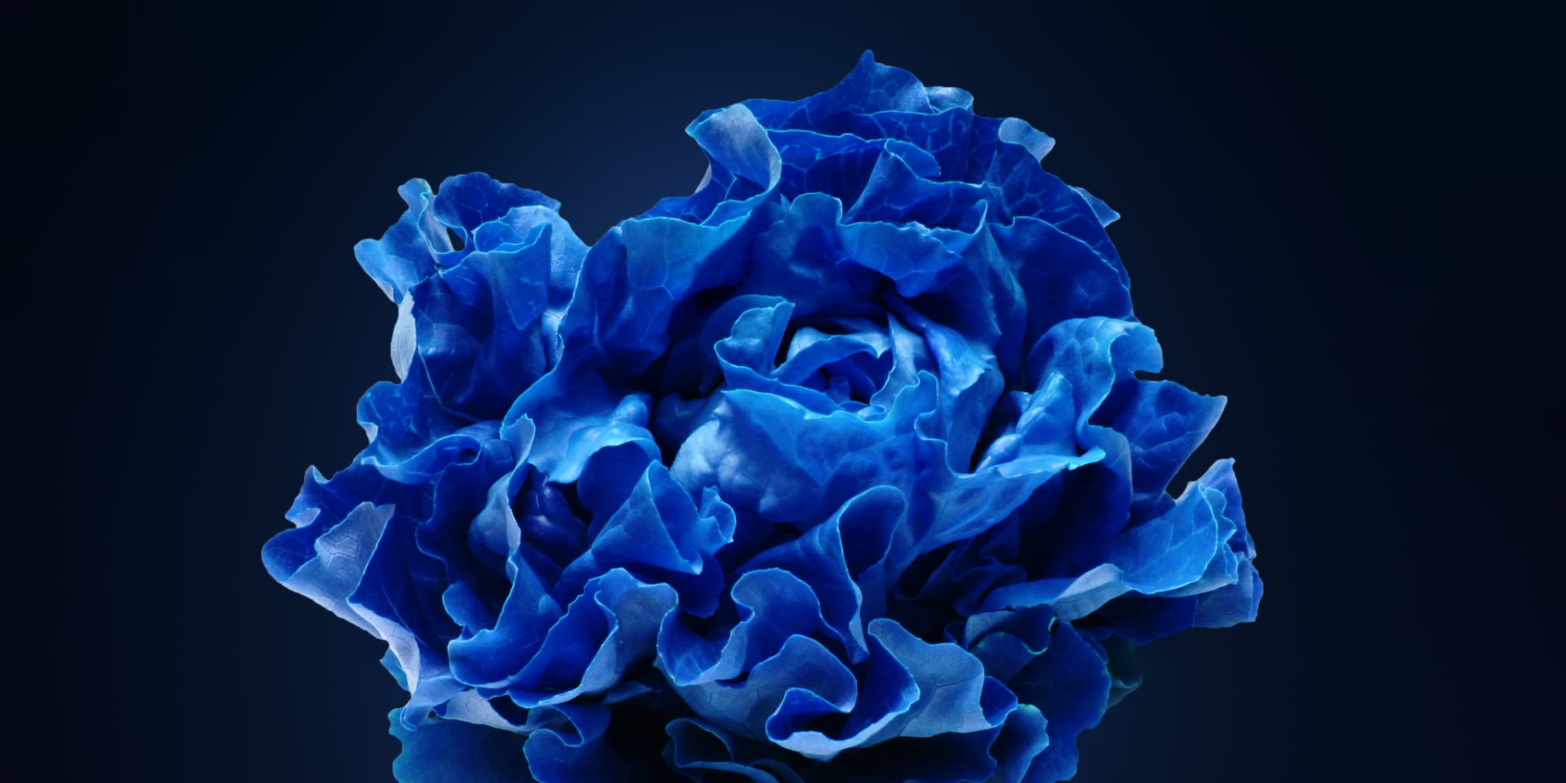 Reddit user creates Windows 11 headache - digitec