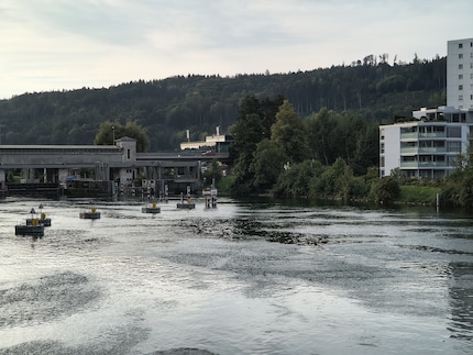 ... dreifachen Zoom ist die Qualität gut.