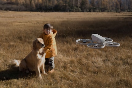 DJIs Marketing lehrt uns: Dank geschützten Propellern muss Bello keine Angst haben.