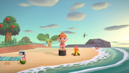 Sarebbe fantastico avere un nuovo «Animal Crossing» come compagno costante sulla mia Switch 2.