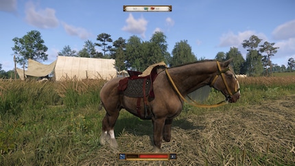 Your steed can double as a packhorse. However, a heavy saddle is a disadvantage in races.
