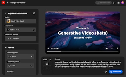 Ecco come si presenta il generatore di video web.
