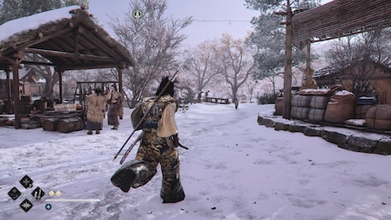 Die eisigen Temperaturen machen Yasuke nichts aus. Selbst schwimmen kann er im Winter.