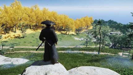 «Quanto deve essere colorato il gioco?». Sucker Punch: «Sì».