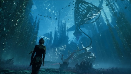 The environments are surreal at times.