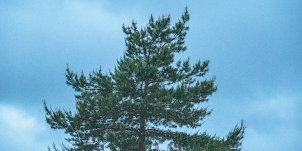 64 000 ISO, RAW, aufgehellt