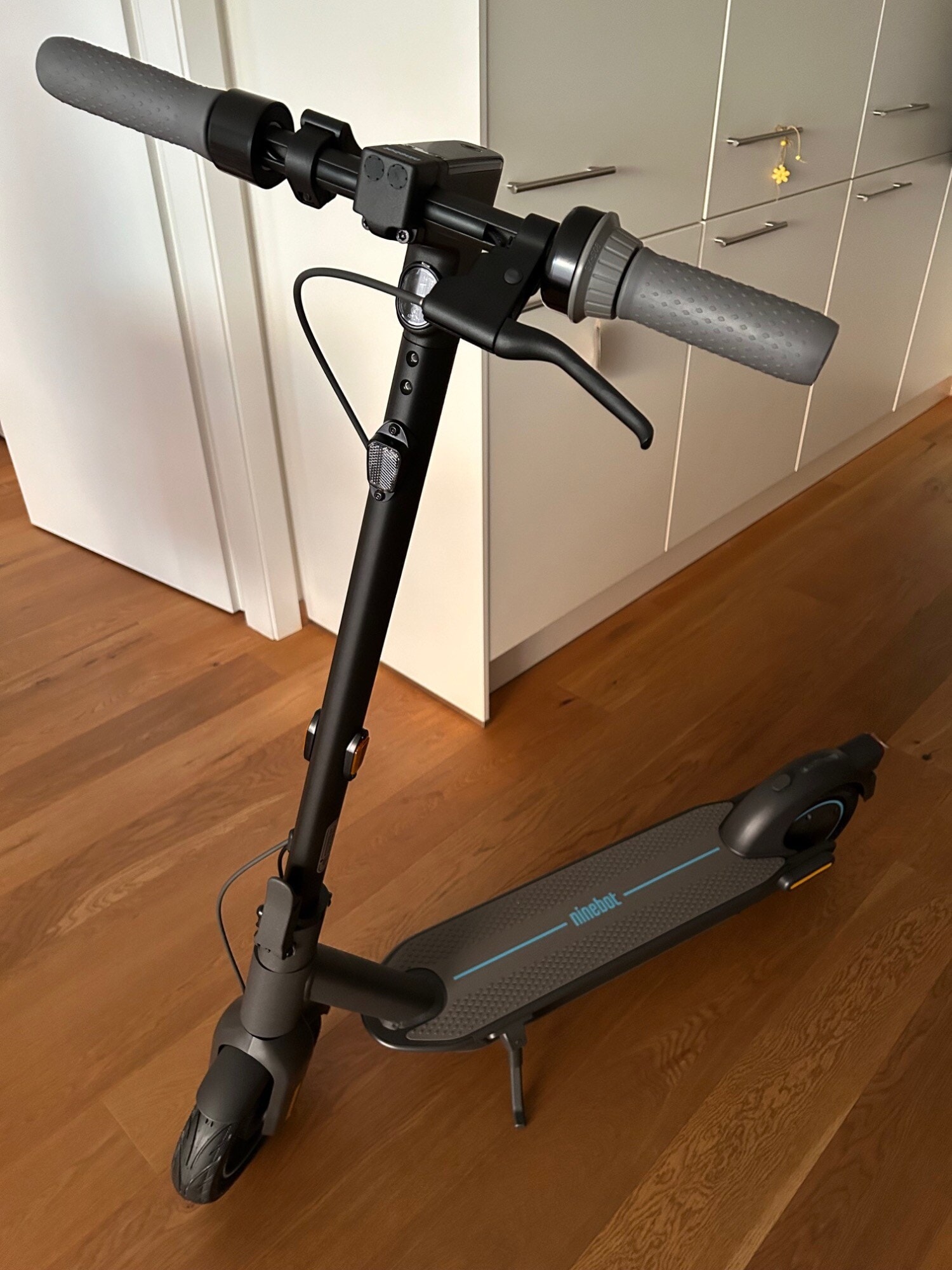 Actual product image Segway-Ninebot Max G30D II (20 km/h, 65 km, 350 W)