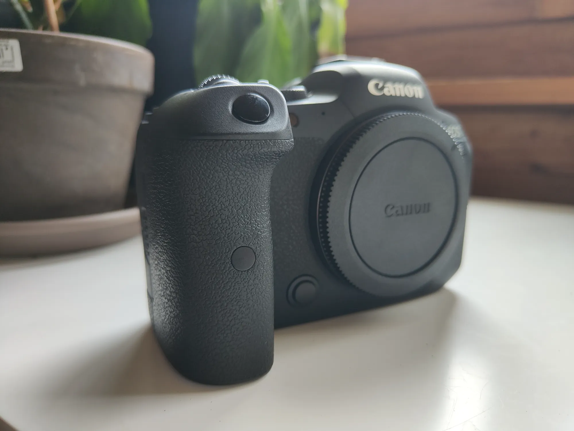 Actual product image Canon EOS R6 (20.10 Mpx, Full frame)