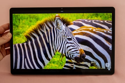 Videos sehen auf dem LCD-Screen wunderbar aus und der Ton macht ordentlich etwas her.