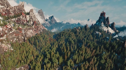 This looks like a real forest for once.