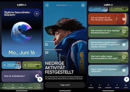 Die Luna KI interpretiert leider nur einen Teil der Daten, hilfreicher ist sie beim Erklären und Tipps geben.