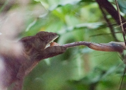 Manuelle Bearbeitung in Prozess 2 mit herkömmlicher Rauschentfernung.