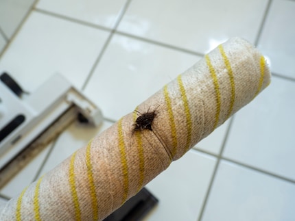 Die Haar wickeln sich zwar um die Walze, aber sie rollt trotzdem weiter.