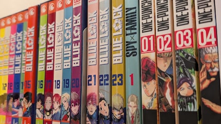 Mangas – und Animes – erobern die westliche Welt im Sturm.