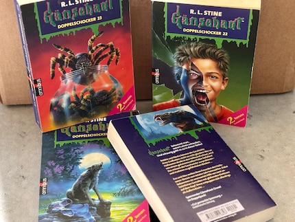 Die «Gänsehaut»-Bücher erzählen Horror-Geschichten für Kinder und waren auch mein Einstieg ins geliebte Genre.