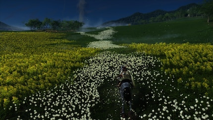 Blumenhighway